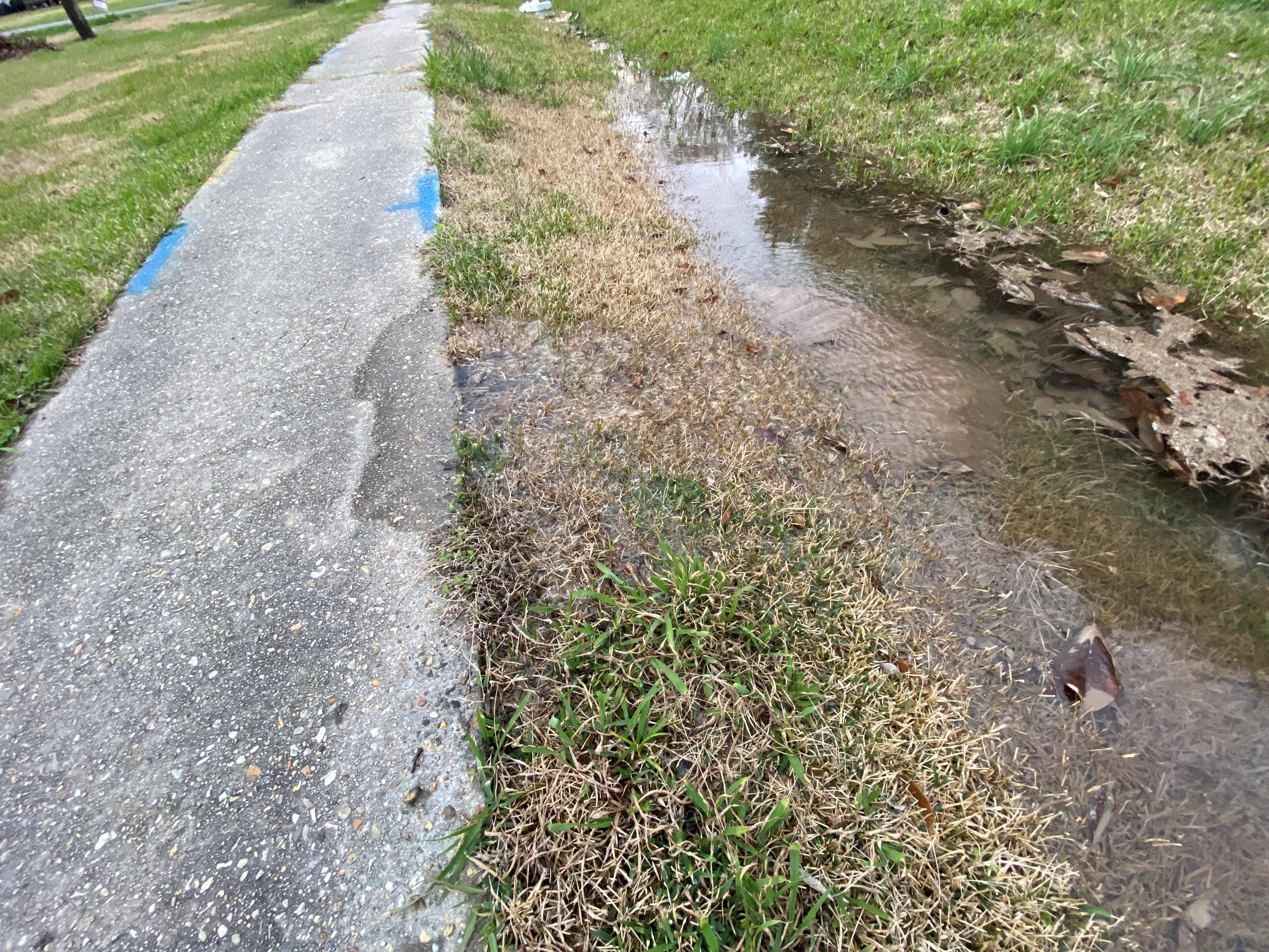 Clean water pours from under the sidewalk at the corner of East Bayou Road and Latino Drive in Donaldsonville Jan. 16.